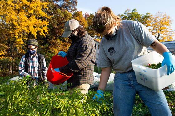 Photo of masked Chatham University students working in the agroecology garden on Eden Hall Campus